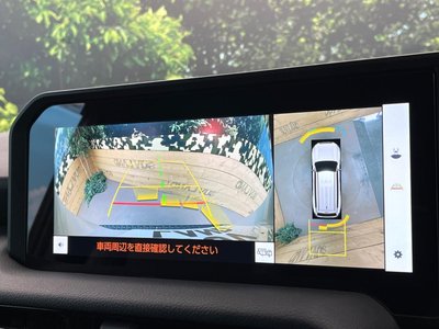 TOYOTA LAND CRUISER - 5