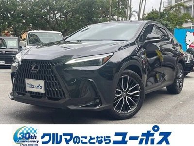 LEXUS NX - 1