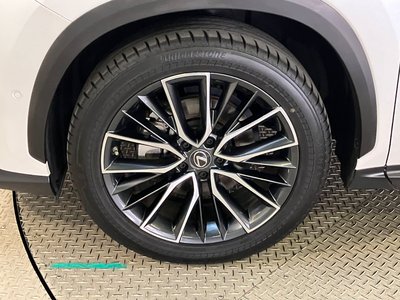 2023 Lexus NX 缩略图 13