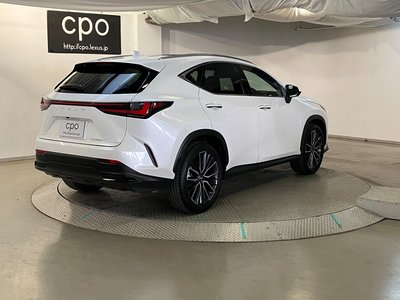 2023 Lexus NX — фото 8