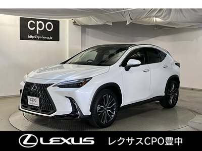 2023 Lexus NX — фото 1