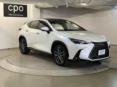 2023 Lexus NX 缩略图 11