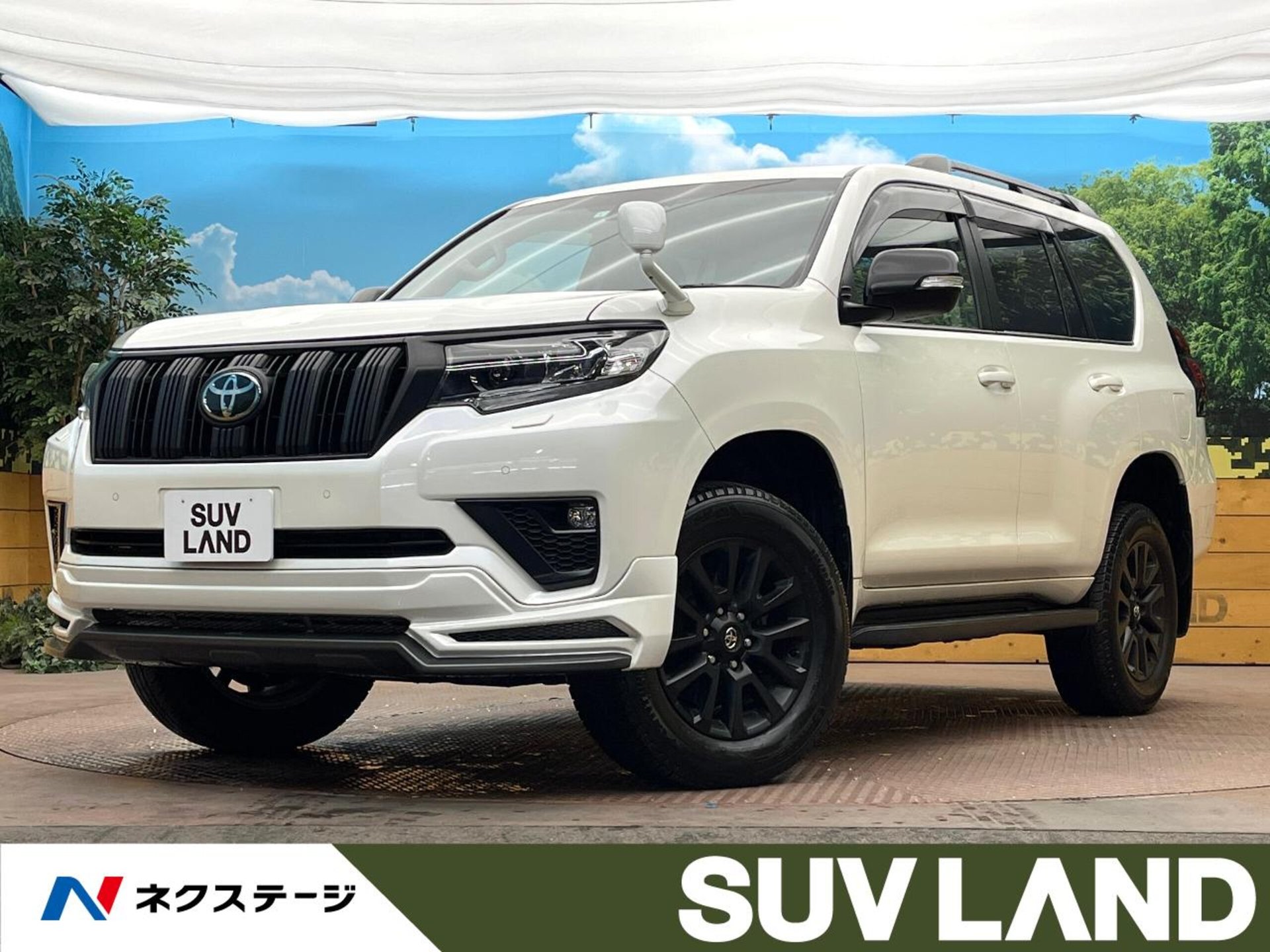 TOYOTA LAND CRUISER PRADO - View 1