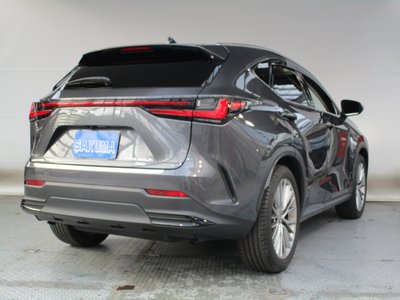 LEXUS NX - 6