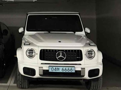 MERCEDES-BENZ G-CLASS - 1