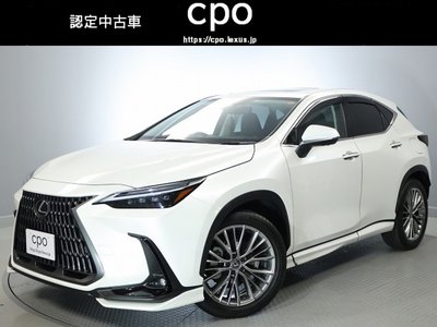 LEXUS NX - 1