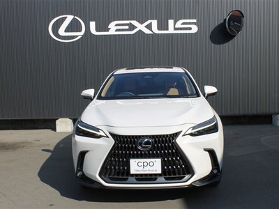 LEXUS NX - 4