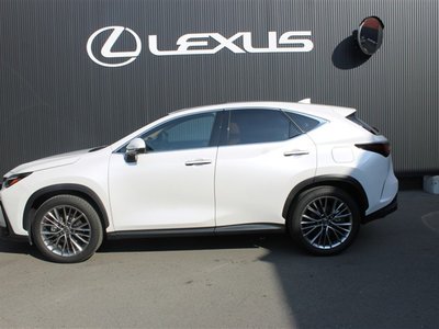 LEXUS NX - 6