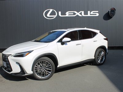 LEXUS NX - 1