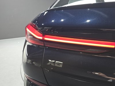 2020 BMW X6 照片 10