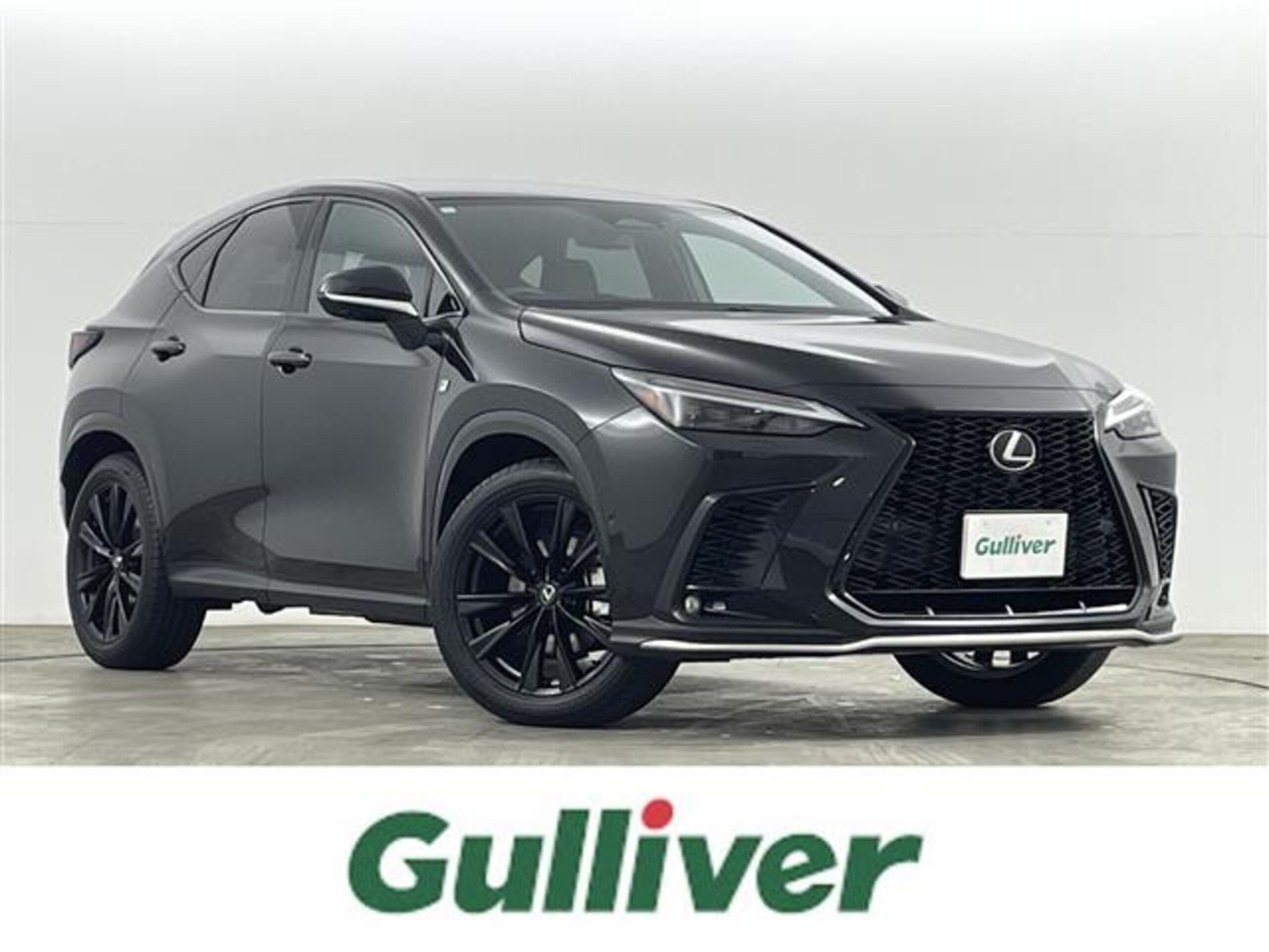 LEXUS NX - View 1