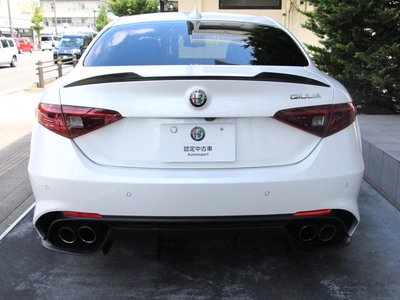 2019 ALFA Romeo JULIA 照片 6