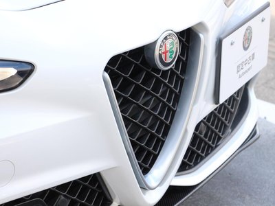 2019 ALFA Romeo JULIA 照片 12