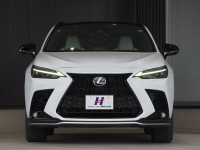 LEXUS NX - 4