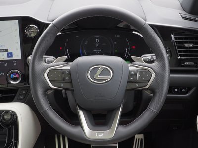 LEXUS NX - 10