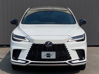 صورة 4 لـ 2023 Lexus RX