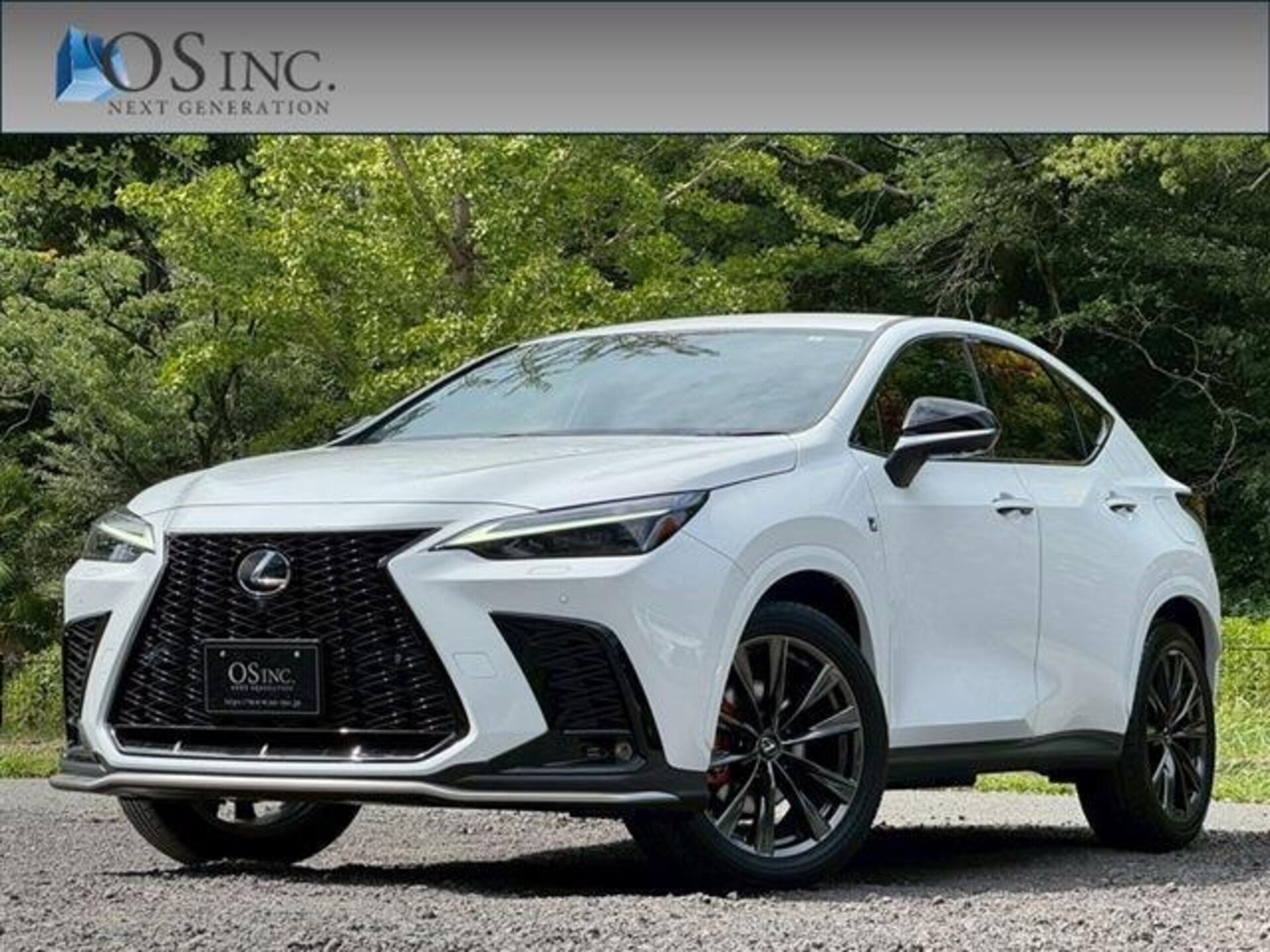 LEXUS NX - View 1