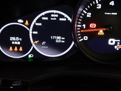 2021 Porsche CAYENNE 缩略图 16