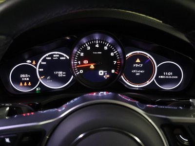 2021 Porsche CAYENNE 缩略图 15