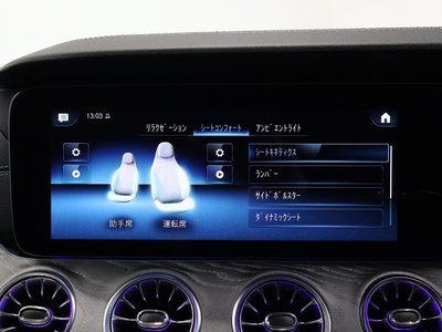 2024 Mercedes-BENZ GT AMG 缩略图 38