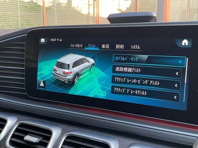 2021 Mercedes-BENZ GLS 缩略图 20