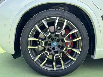 2025 BMW X5 photo 6