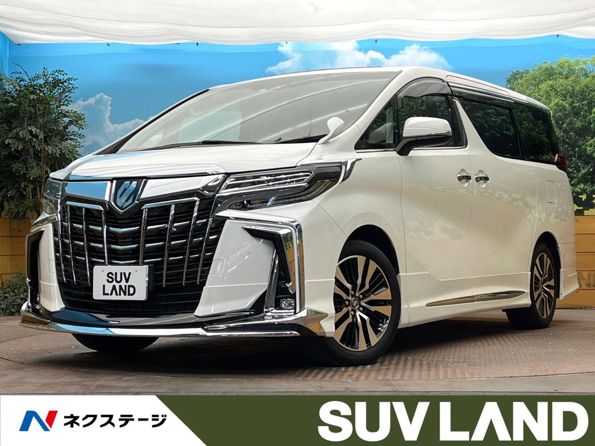 TOYOTA ALPHARD - View 1