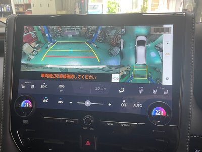 2025 Toyota ALPHARD 缩略图 19