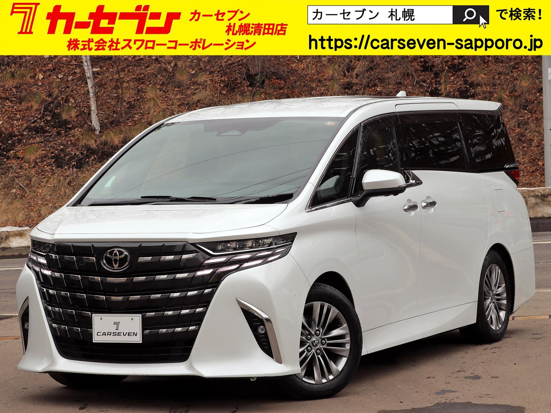 TOYOTA ALPHARD - View 1