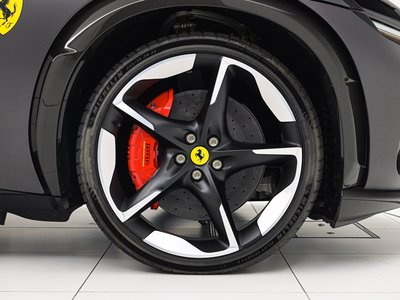 FERRARI PUROSANGUE - 9