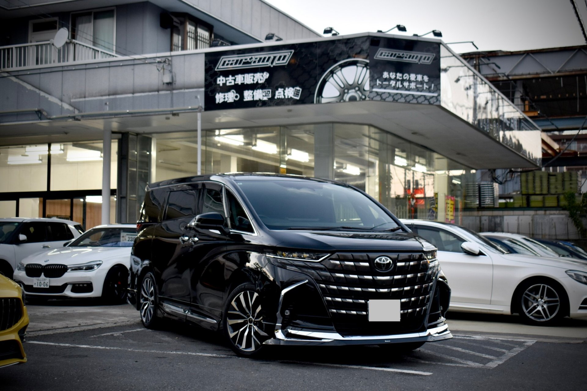 TOYOTA ALPHARD - View 1