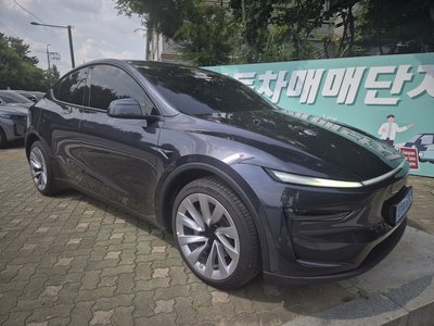 TESLA MODEL Y - 1