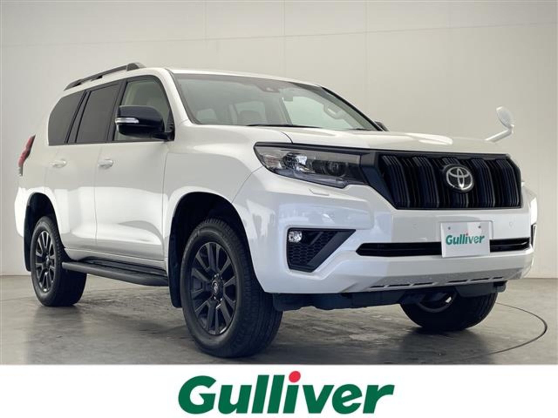 TOYOTA LAND CRUISER PRADO - View 1