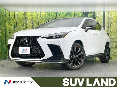 LEXUS NX - 1