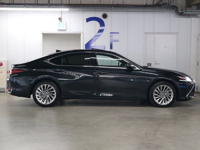 2023 Lexus ES thumbnail 12