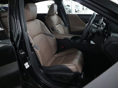 2023 Lexus ES thumbnail 16