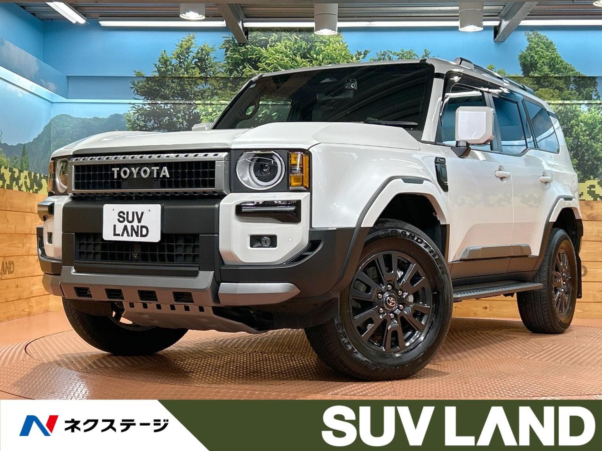 TOYOTA LAND CRUISER 250 - View 1