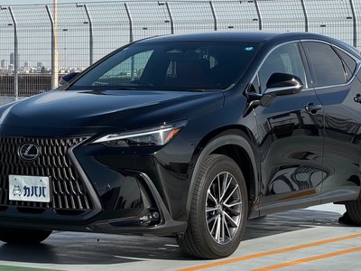 LEXUS NX - 1