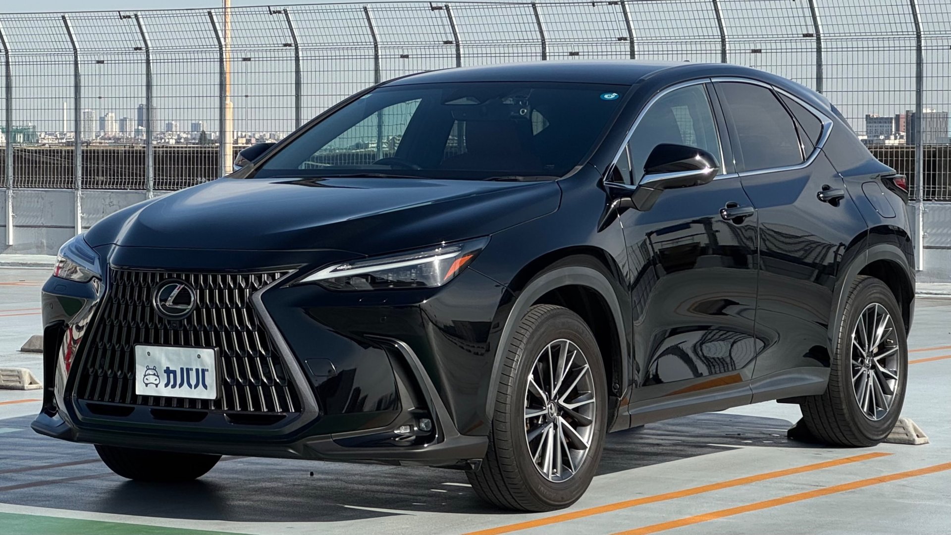LEXUS NX - View 1