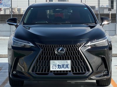 LEXUS NX - 2