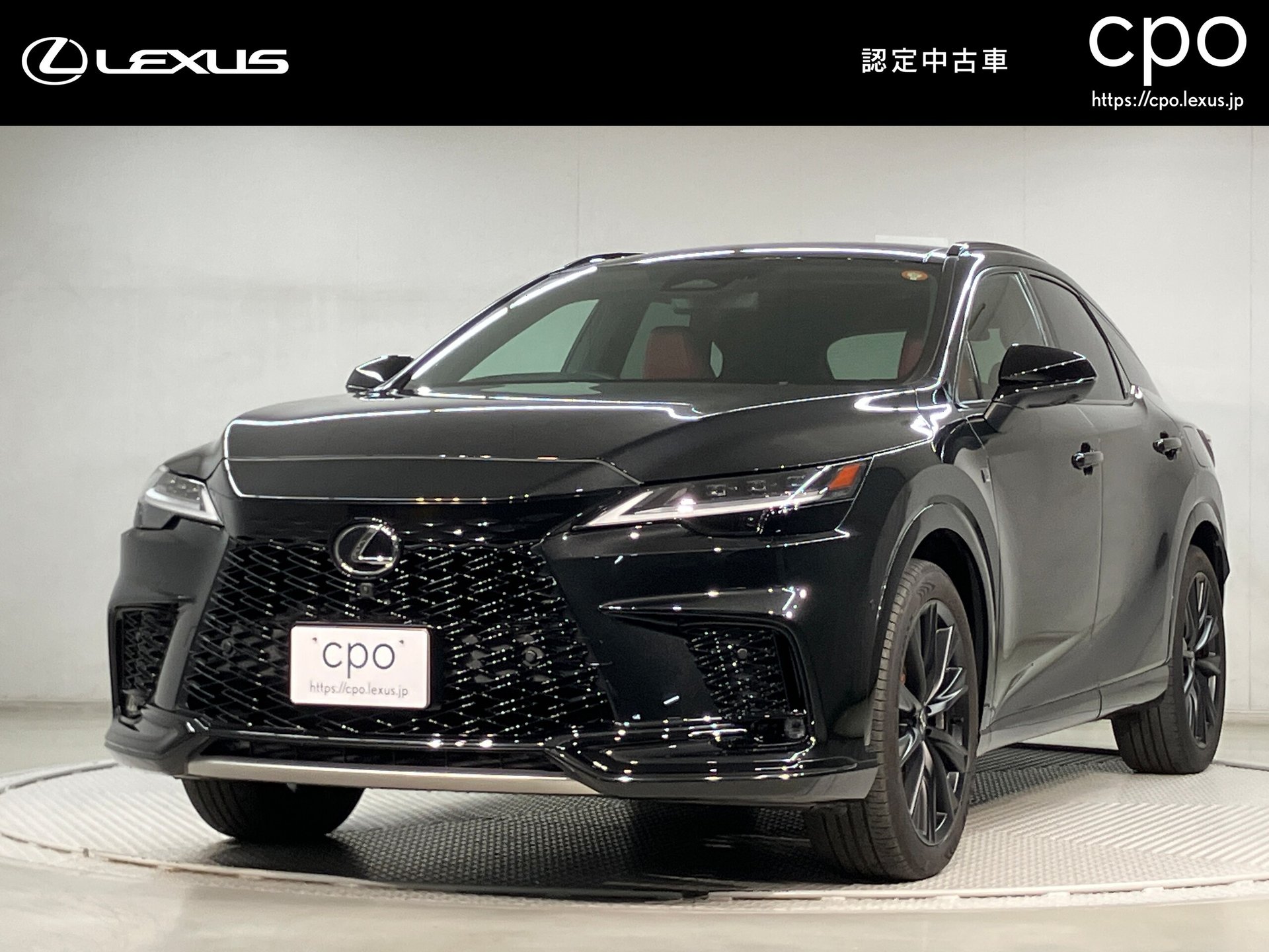 LEXUS RX - View 1