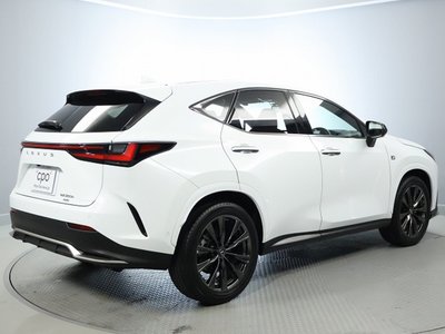 LEXUS NX - 10