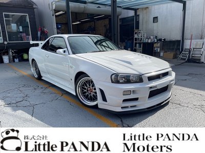 1999 Nissan SKYLINE GT-R photo 1