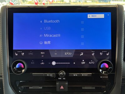2024 TOYOTA ALPHARD 缩略图 40