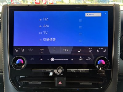 2024 TOYOTA ALPHARD 缩略图 39