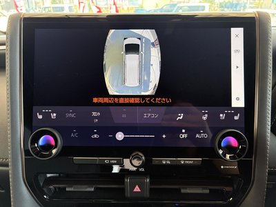 2024 TOYOTA ALPHARD 缩略图 38