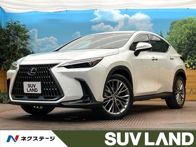 LEXUS NX - 1