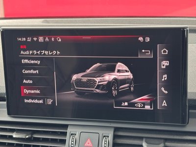 2025 AUDI SQ5 缩略图 50