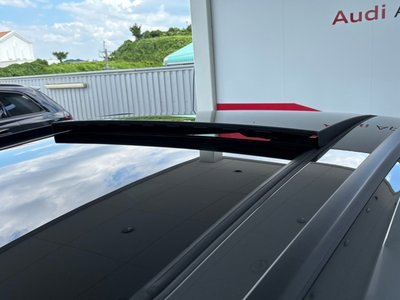 2025 AUDI SQ5 缩略图 60