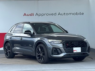 2025 AUDI SQ5 photo 10